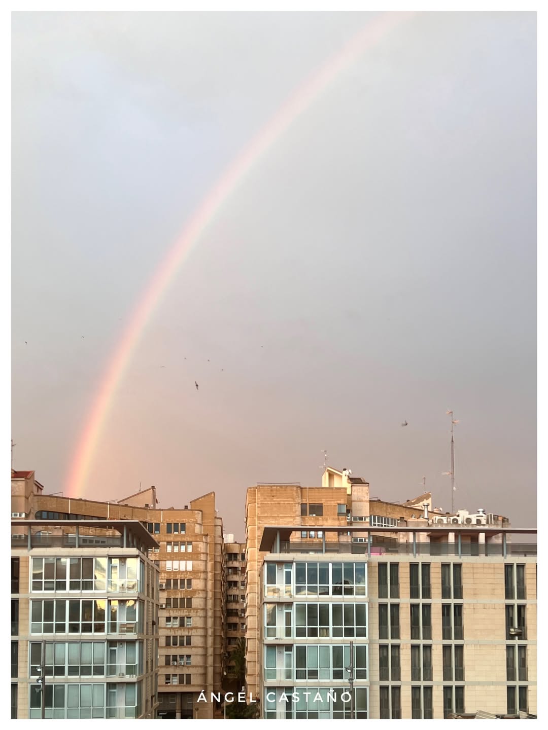 Fotografias Ángel Castaño Elche (11)