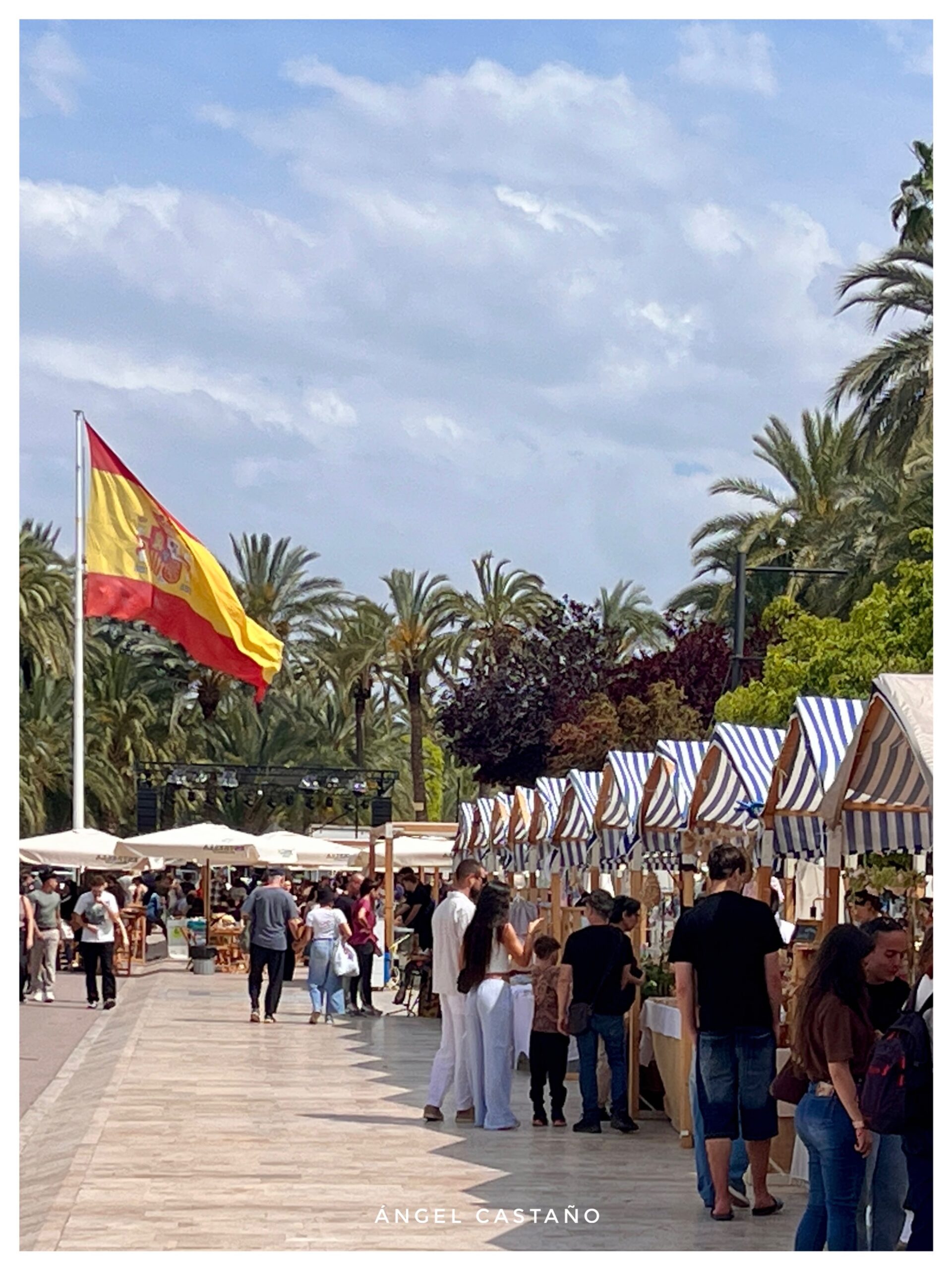 Fotografias Ángel Castaño Elche (2)